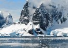 Study reveals rapid acceleration of Antarctica's transformation into green landscape