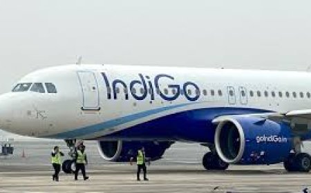 IndiGo's booking system suddenly failed... Long queues at the airport, passengers in distress.