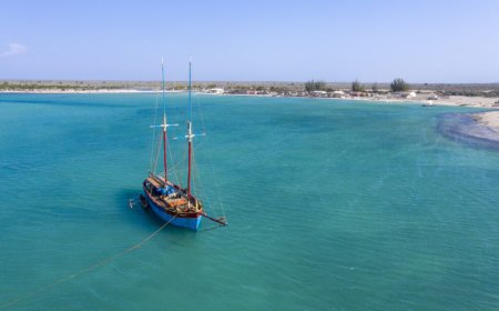 Madagascar’s latest fisheries report marks a significant milestone in advancing transparency within the fishing industry
