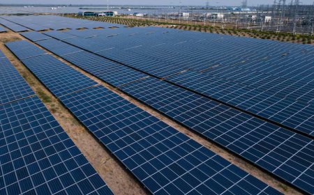 Solar energy companies are rapidly expanding across Africa, a continent where 600 million people still lack access to electricity.