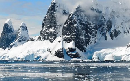 Study reveals rapid acceleration of Antarctica's transformation into green landscape