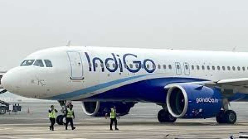 IndiGo's booking system suddenly failed... Long queues at the airport, passengers in distress.