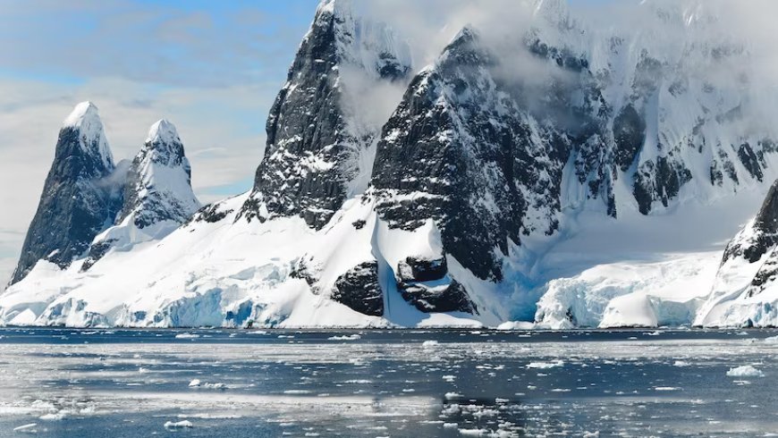 Study reveals rapid acceleration of Antarctica's transformation into green landscape