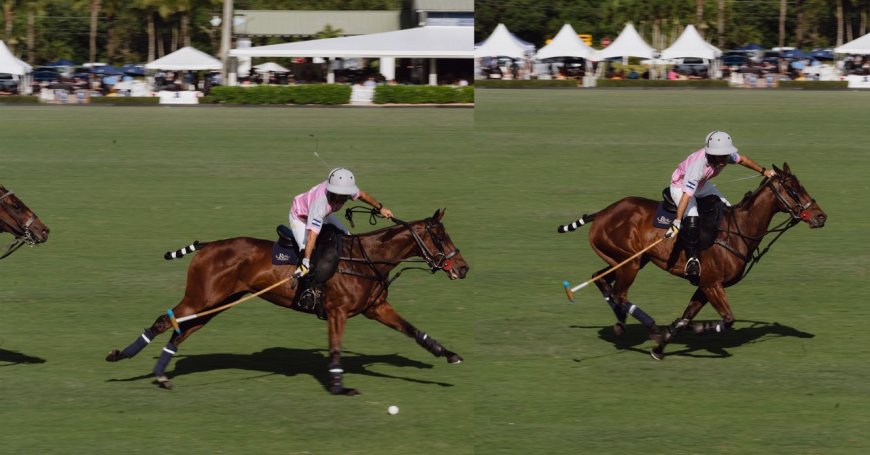 Cloning Came to Polo. Then Things Got Truly Uncivilized
