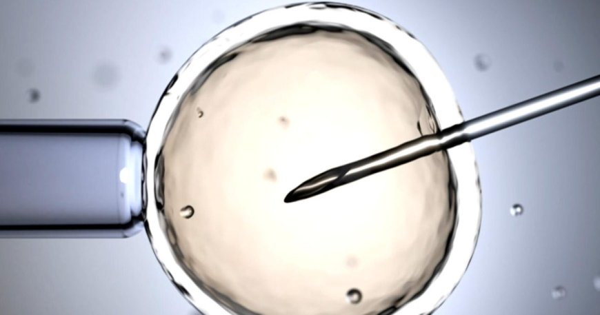 The science and ethics behind genetic embryo screening