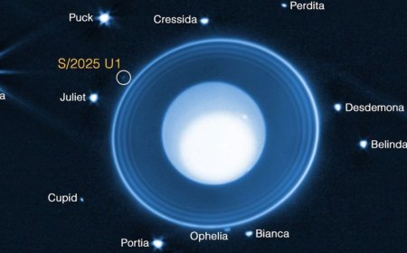 Scientists Find a New Moon Orbiting Uranus