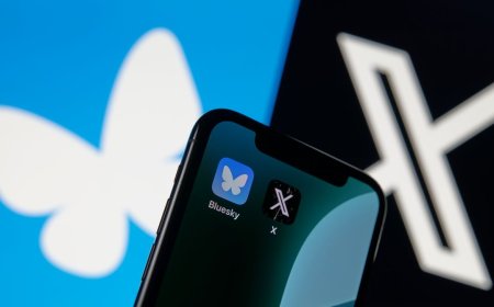 Scientists Are Flocking to Bluesky