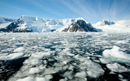 Antarctica Is Changing Rapidly. The Consequences Could Be Dire