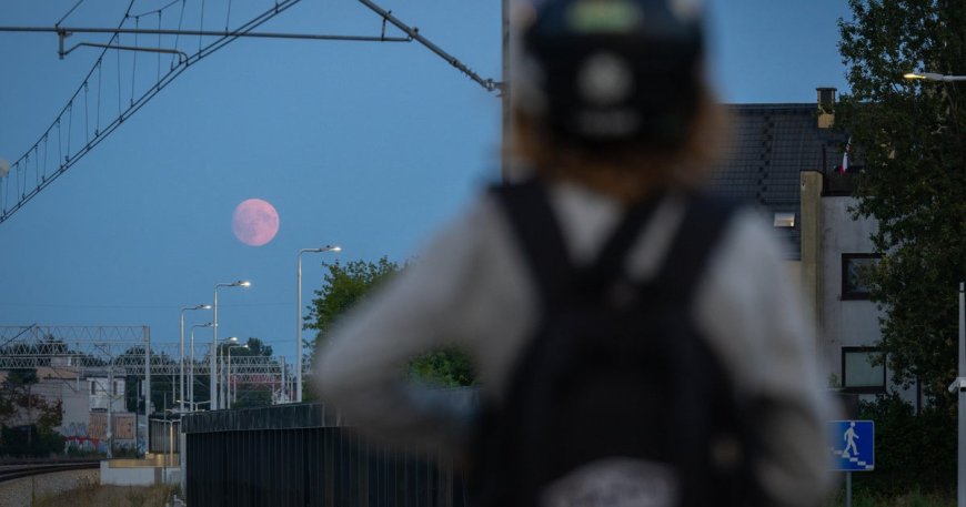 Perseids meteor shower will peak this week. But will the moon ruin views?