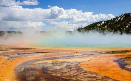 These Newly Discovered Cells Breathe in Two Ways