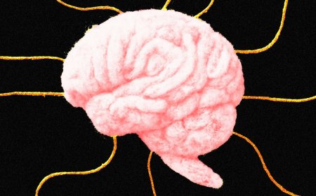 Psychological Tricks Can Get AI to Break the Rules