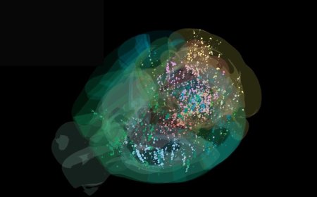 This Is the First Time Scientists Have Seen Decisionmaking in a Brain