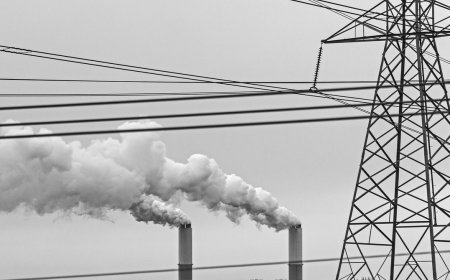 Big Businesses Are Doing Carbon Dioxide Removal All Wrong