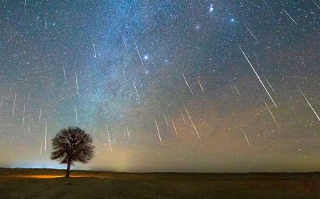 How to Watch the Orionids Meteor Shower