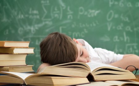 How to Make STEM Funny—and Go Viral Doing It