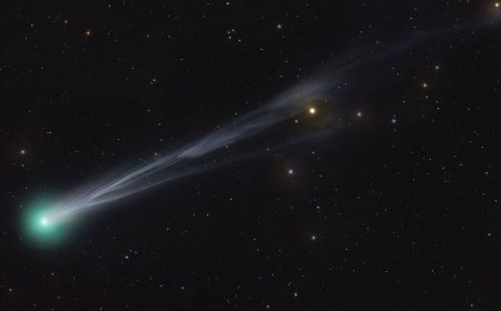 How to See Comet Lemmon This October