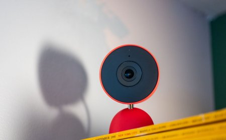 Gemini in Google Home Keeps Mistaking My Dog for a Cat