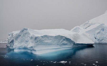 New Report Finds Efforts to Slow Climate Change Are Working—Just Not Fast Enough