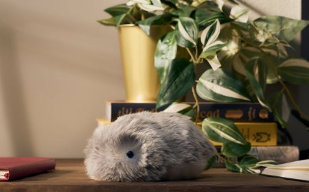 Casio’s Fluffy AI Robot Squeaked Its Way Into My Heart