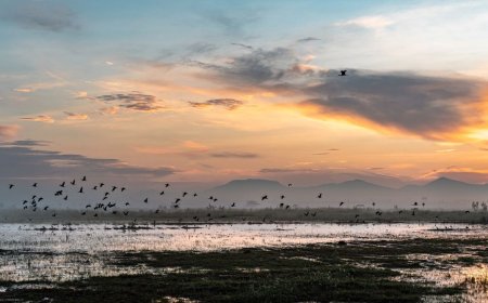 Rainfall Buries a Mega-Airport in Mexico