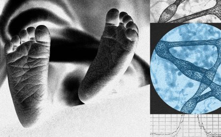 A New Startup Wants to Edit Human Embryos