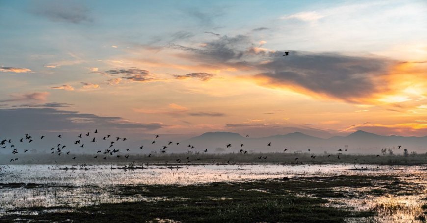 Rainfall Buries a Mega-Airport in Mexico
