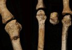 Mystery owner of ancient foot found in Africa identified, scientists say