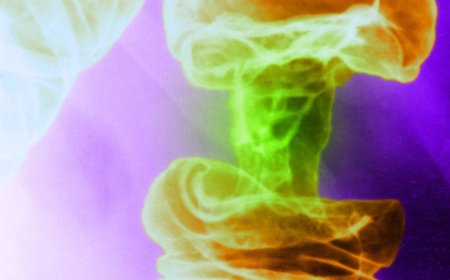 A New Light-Based Cancer Treatment Kills Tumor Cells and Spares Healthy Ones