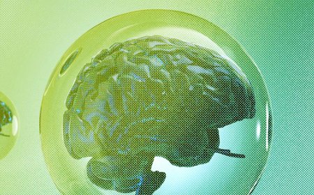 The 4 Things You Need for a Tech Bubble