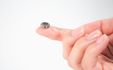 Paradromics Gets FDA Approval to Trial Its Brain Implant in People