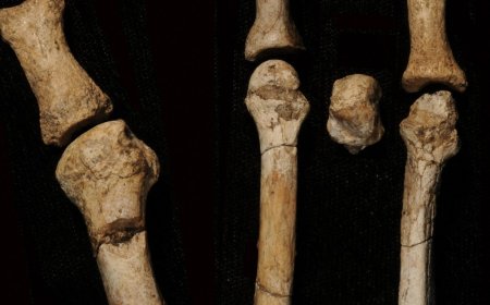 Mystery owner of ancient foot found in Africa identified, scientists say