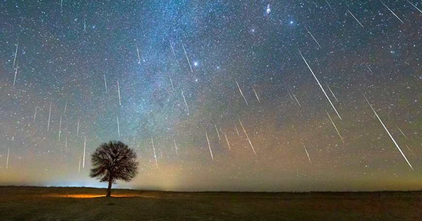 How to Watch the Leonids Meteor Shower