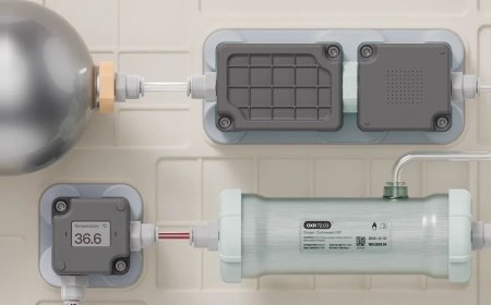 Former Neuralink Exec Launches Organ Preservation Effort