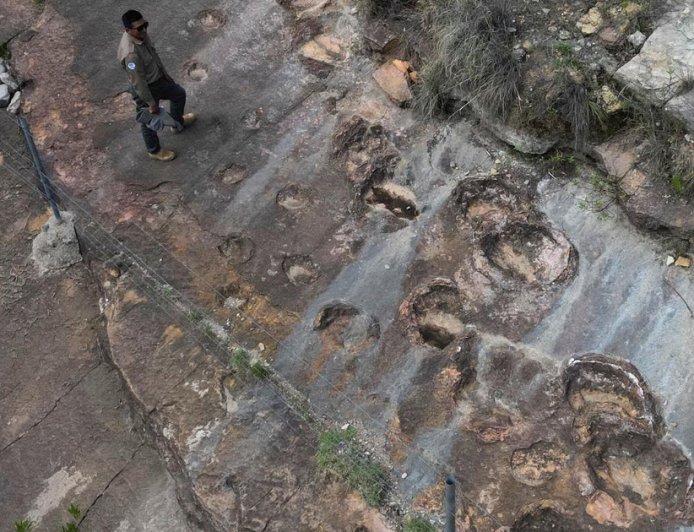 Fossil footprints in Bolivia reveal dinosaurs' awkward attempts to swim