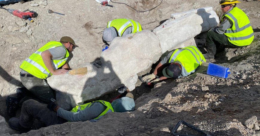 Fossils found at Dinosaur National Monument, first excavation in 100 years