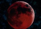 How to View the ‘Blood Moon’ Total Lunar Eclipse on March 3
