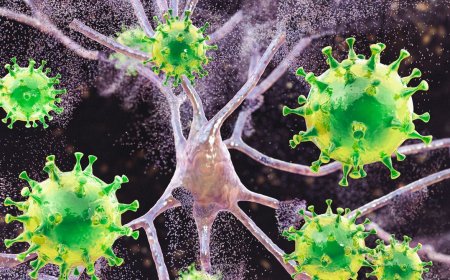 Measles Is Causing Brain Swelling in Children in South Carolina