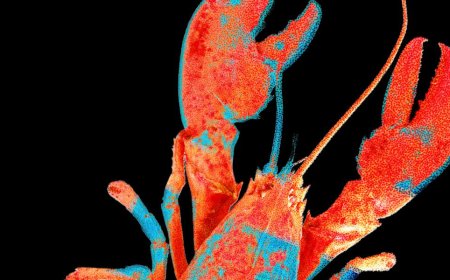 Moltbook, the Social Network for AI Agents, Exposed Real Humans’ Data