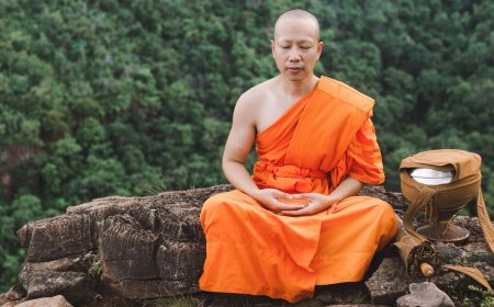 Study of Buddhist Monks Finds Meditation Alters Brain Activity