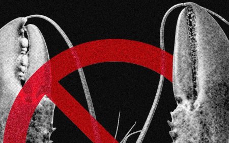 Meta and Other Tech Companies Ban OpenClaw Over Cybersecurity Concerns