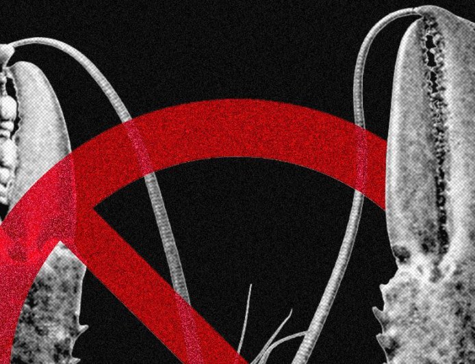 Meta and Other Tech Firms Put Restrictions on Use of OpenClaw Over Security Fears