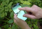 How a fun nature app aids science