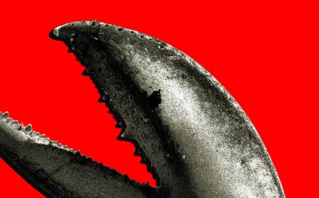 China’s OpenClaw Boom Is a Gold Rush for AI Companies