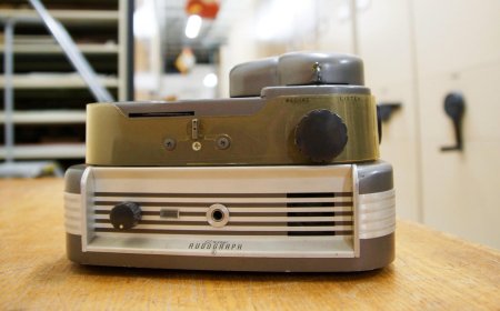 Discovery of 1949 whale recording could unlock mysteries of ocean