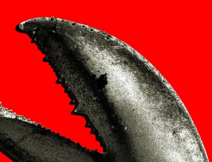 China’s OpenClaw Boom Is a Gold Rush for AI Companies