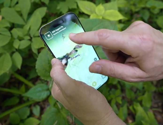 How a fun nature app aids science