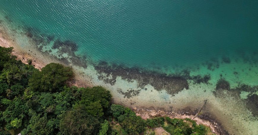 Sea levels higher than thought due to "methodological blind spot," study says