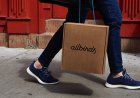 Allbirds Is Pivoting to AI Compute. Sure, Why Not