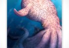 60-foot octopus ruled the seas during age of dinosaurs, fossils show