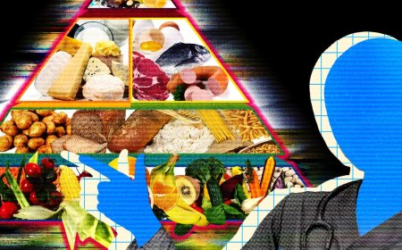 Meta’s New AI Asked for My Raw Health Data—and Gave Me Terrible Advice